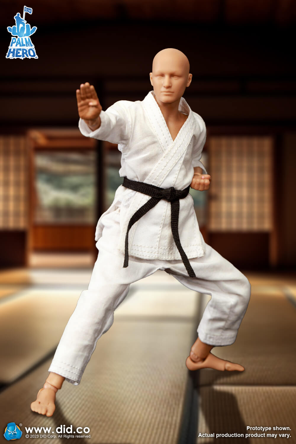 Simply Fun Series - The Karate Player image 6