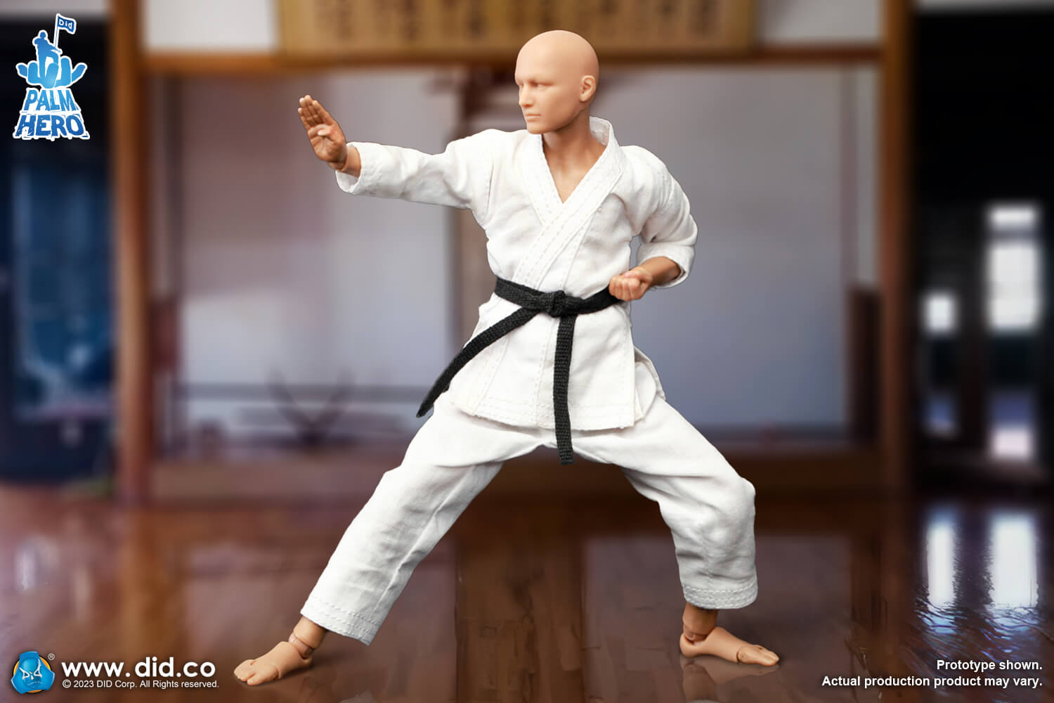 Simply Fun Series - The Karate Player image 7