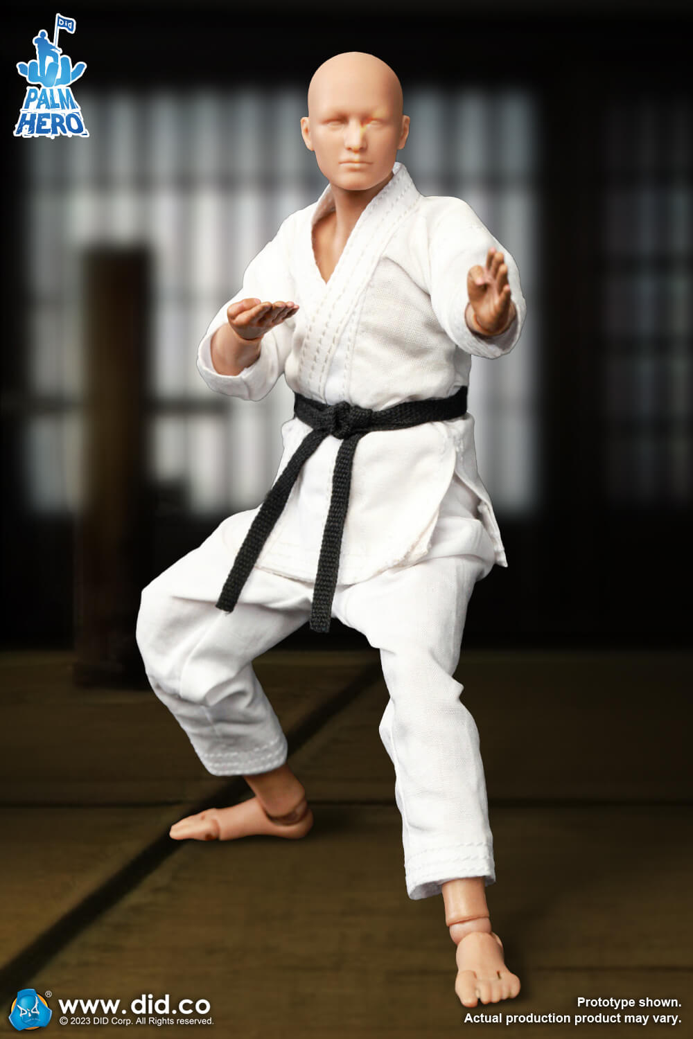 Simply Fun Series - The Karate Player image 8