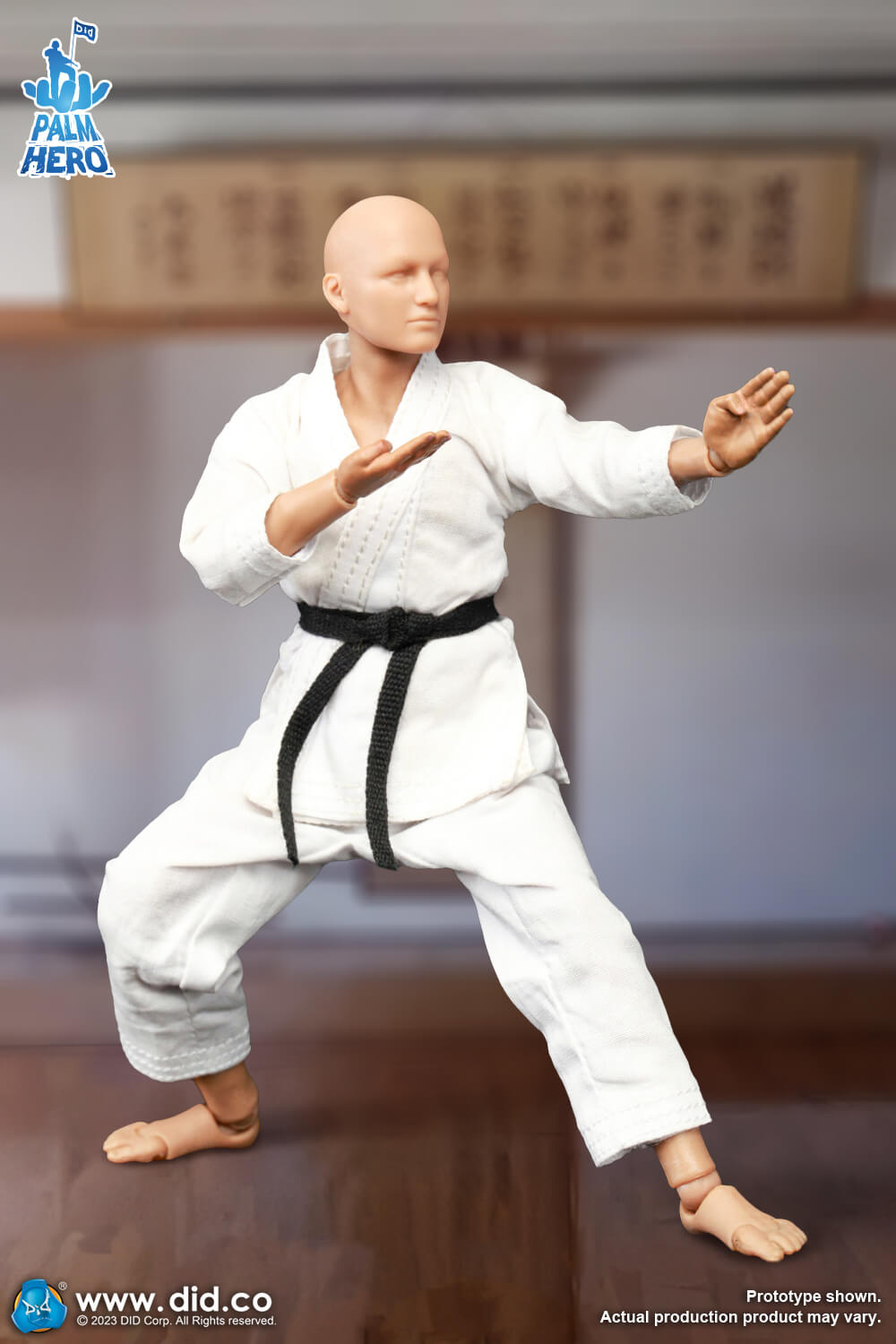 Simply Fun Series - The Karate Player image 9