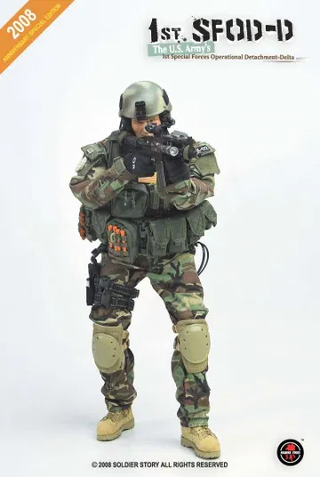 1ST SFOD-D