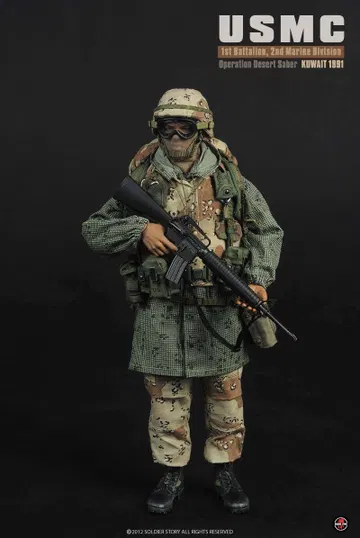 USMC 1st Battalion 2nd Marine Division Operation Desert Saber