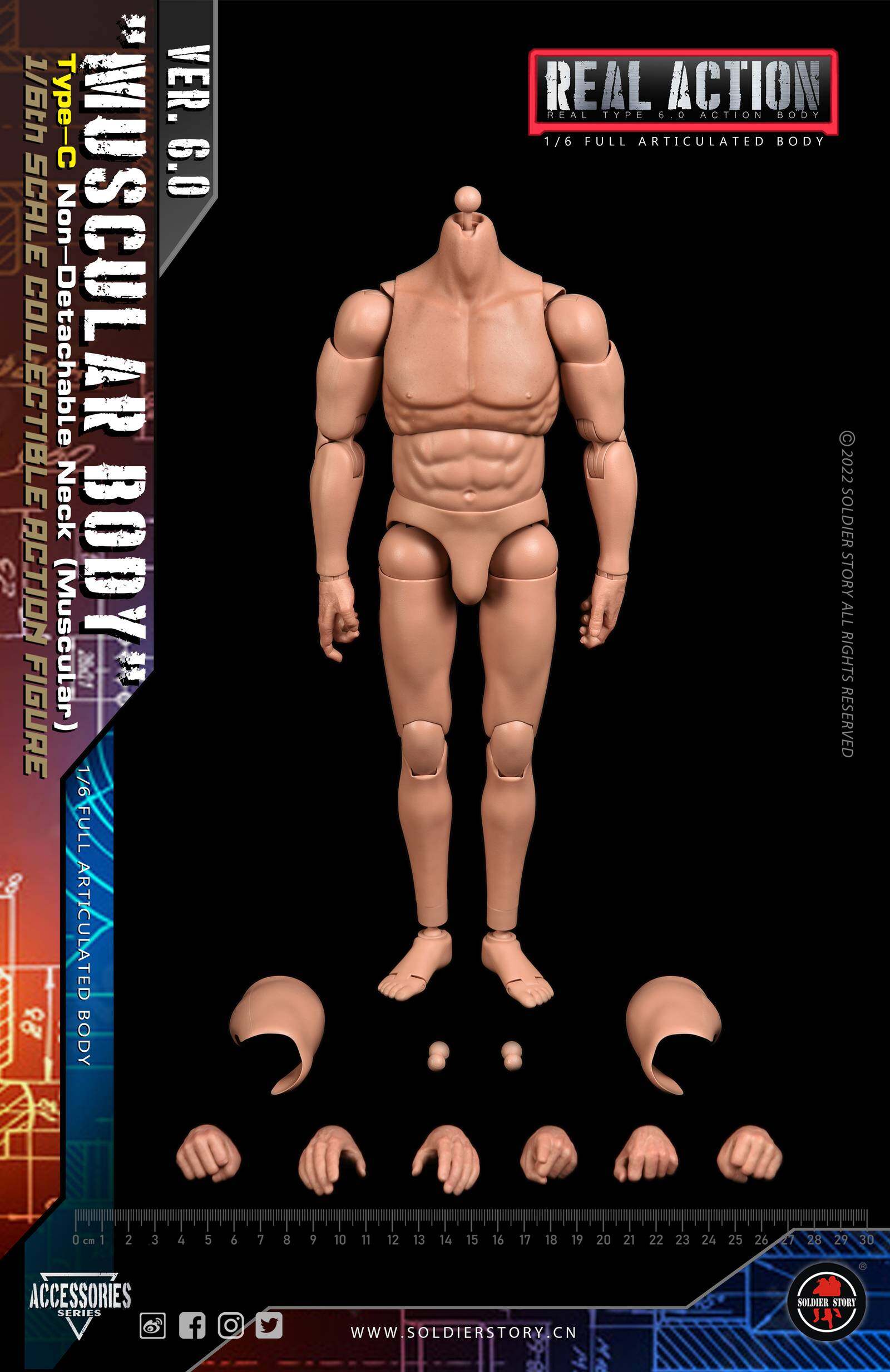 1/6th Scale "MUSCULAR BODY" Type-C Non-Detachable Neck (Muscular) image 2