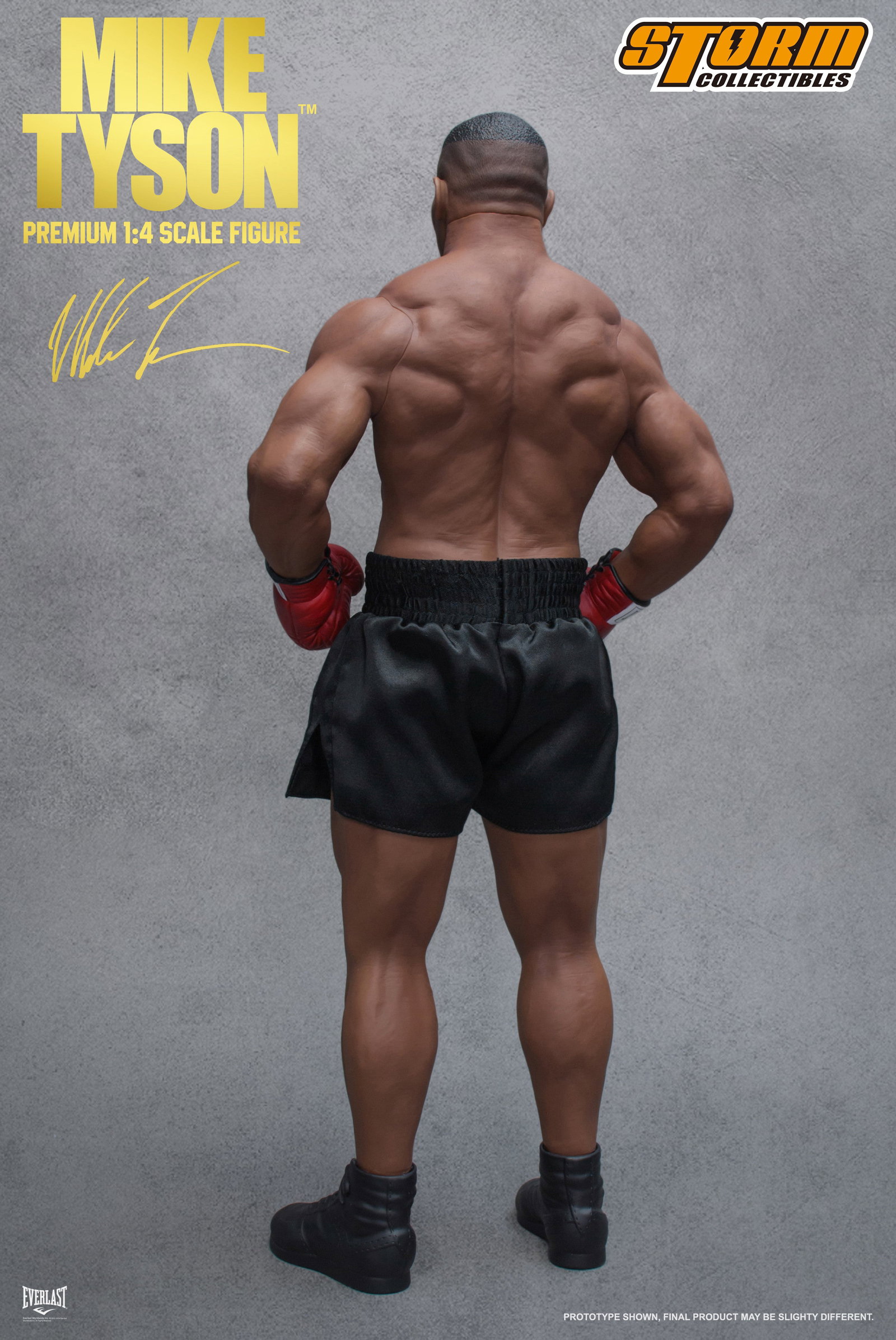 Mike Tyson image 10