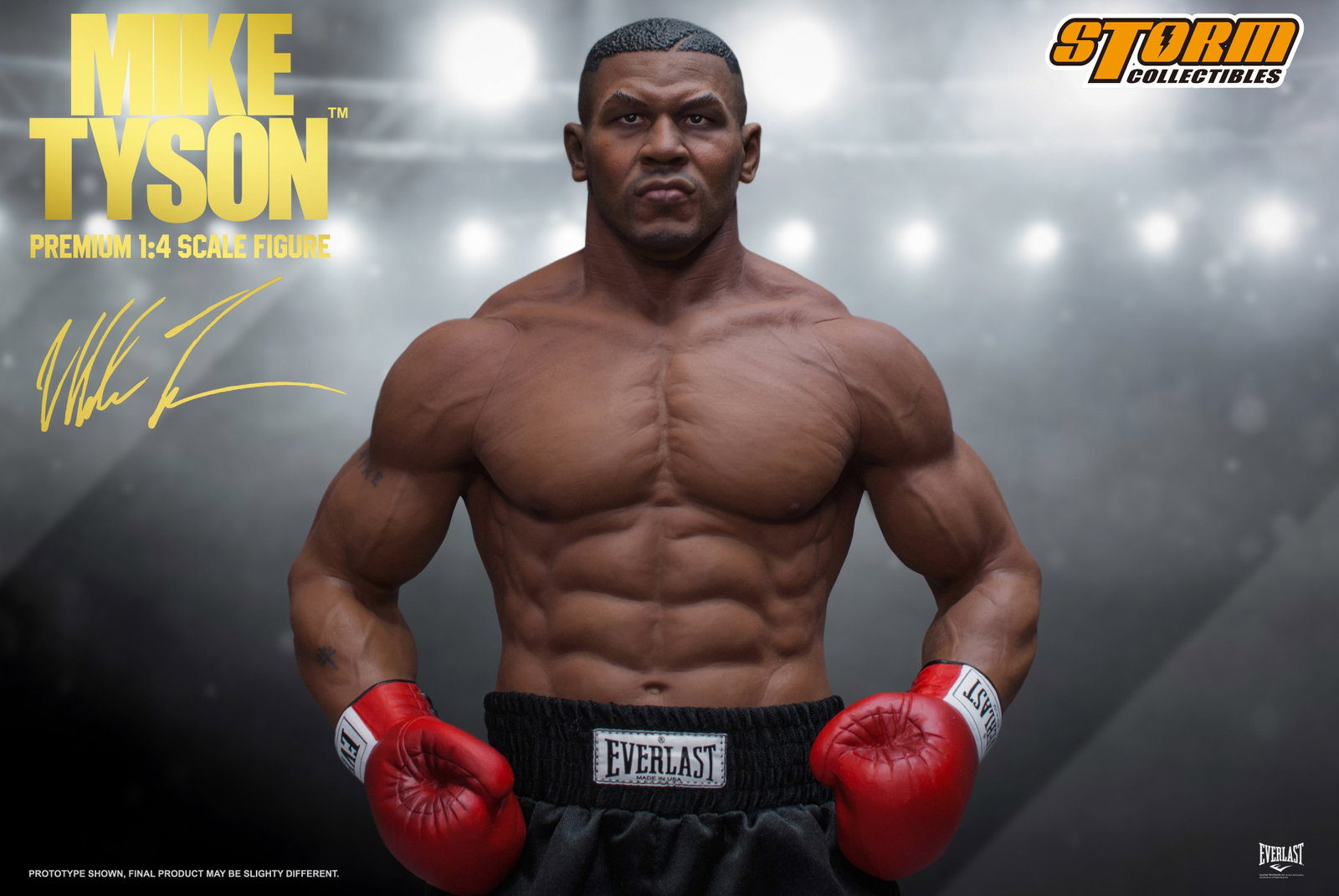 Mike Tyson image 2
