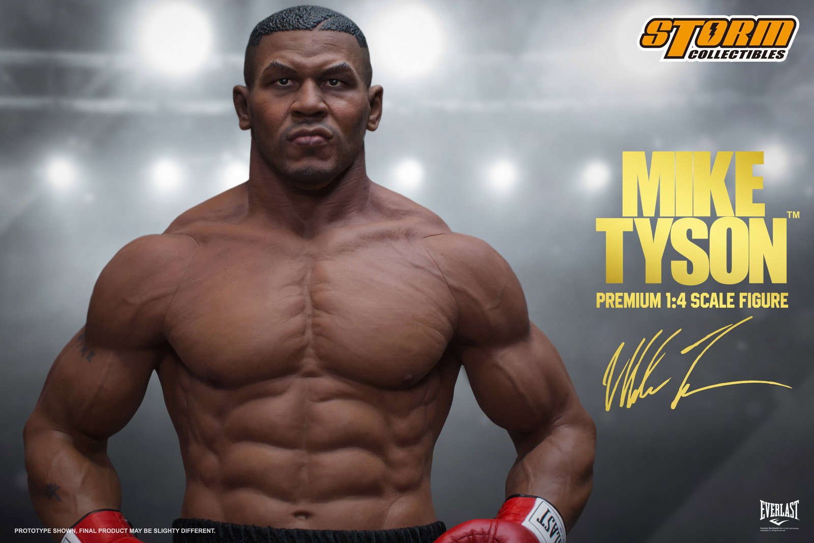 Mike Tyson image 3