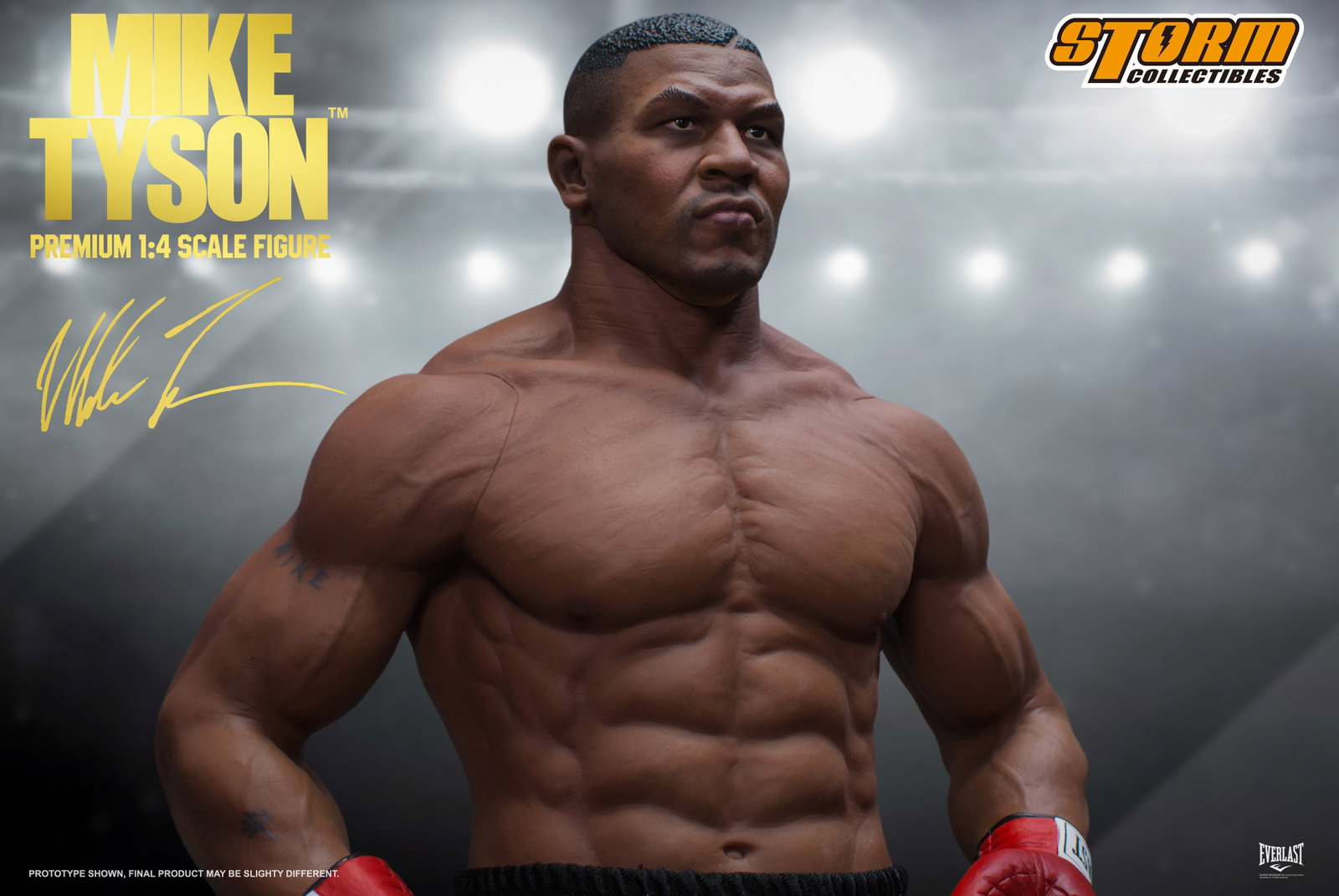 Mike Tyson image 4