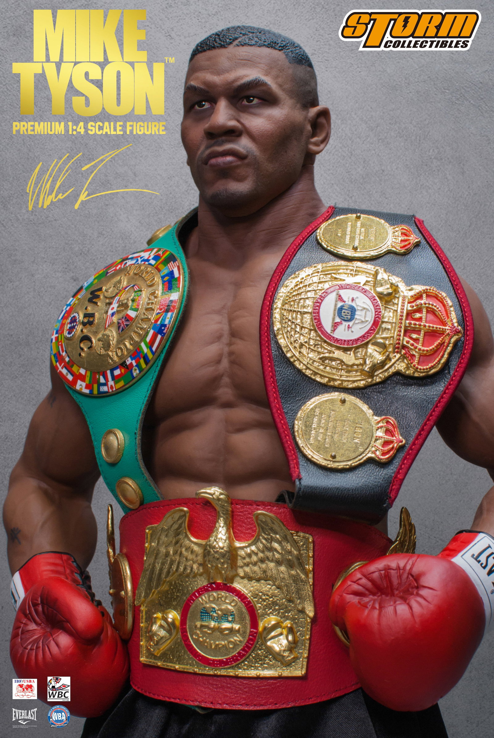 Mike Tyson image 6