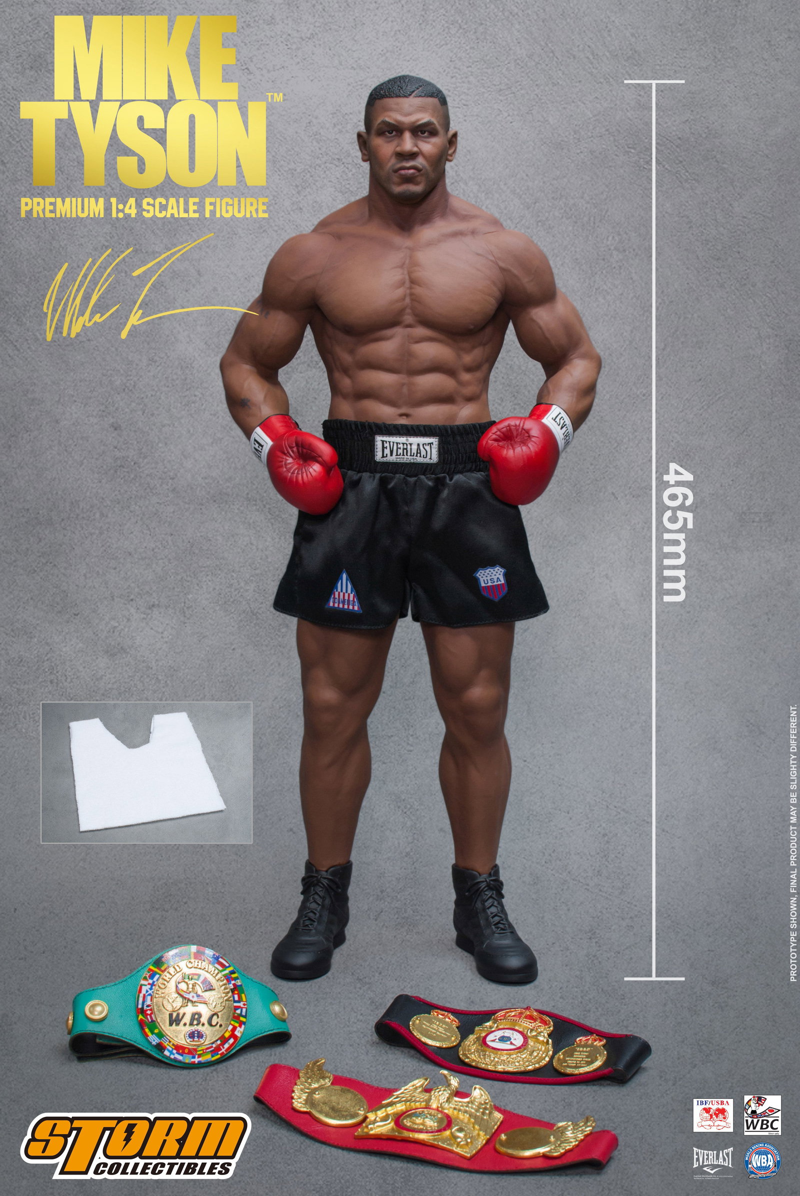 Mike Tyson image 7