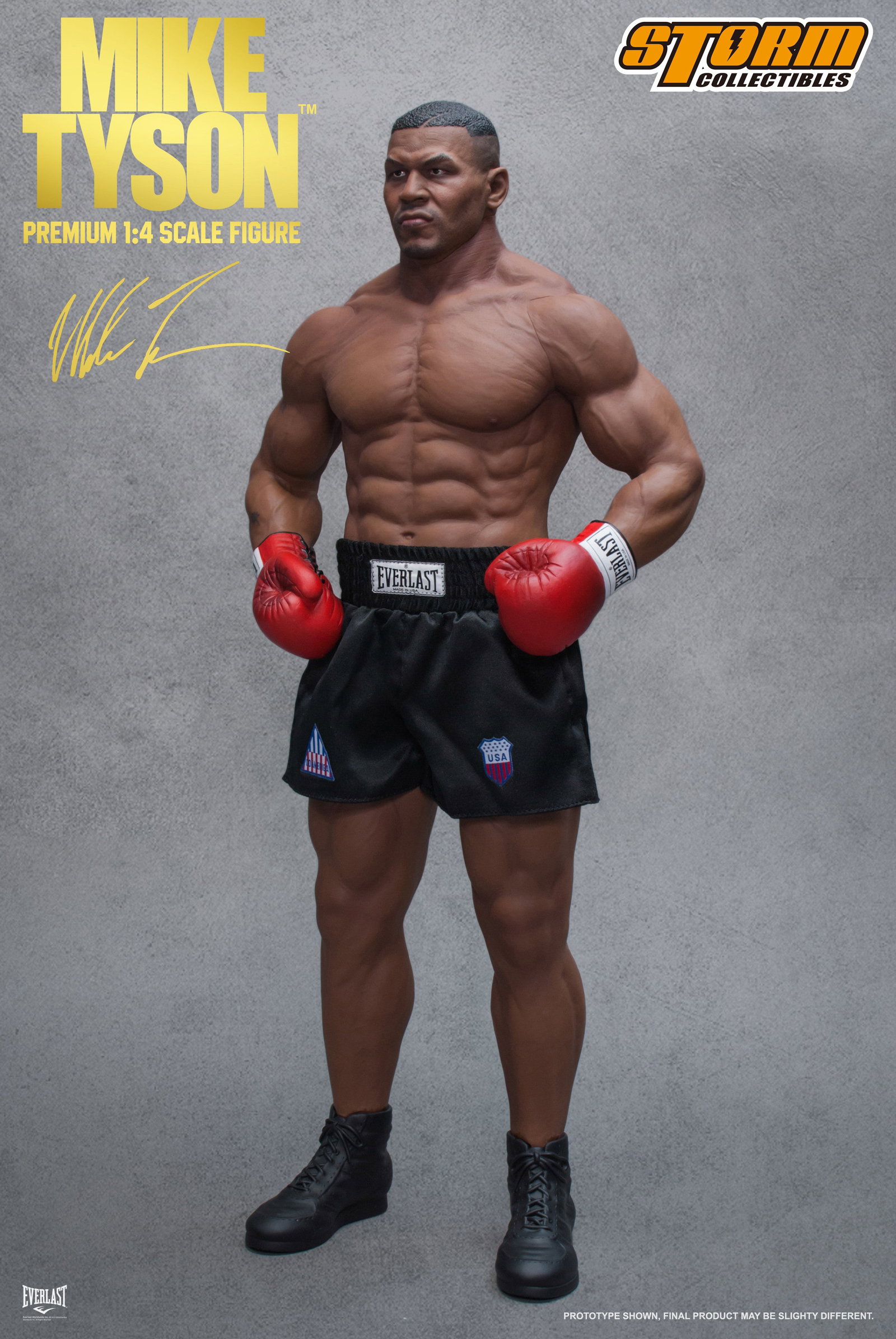 Mike Tyson image 9