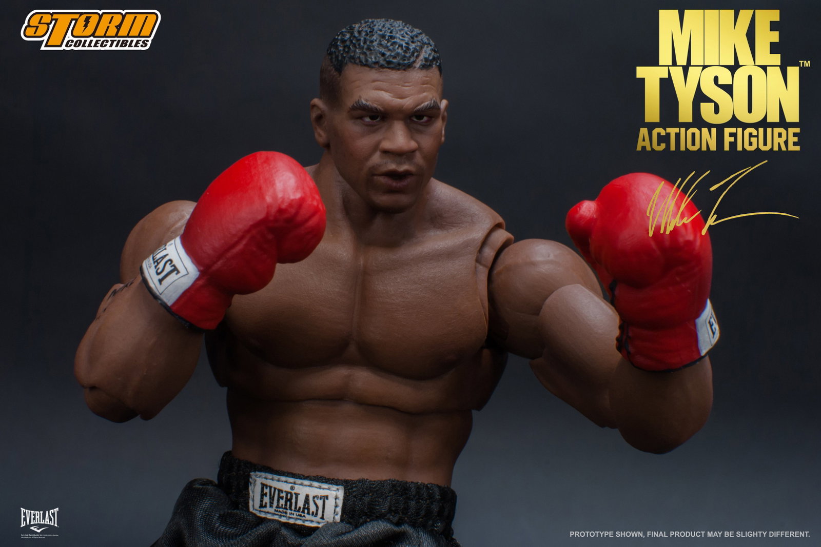 Mike Tyson image 10