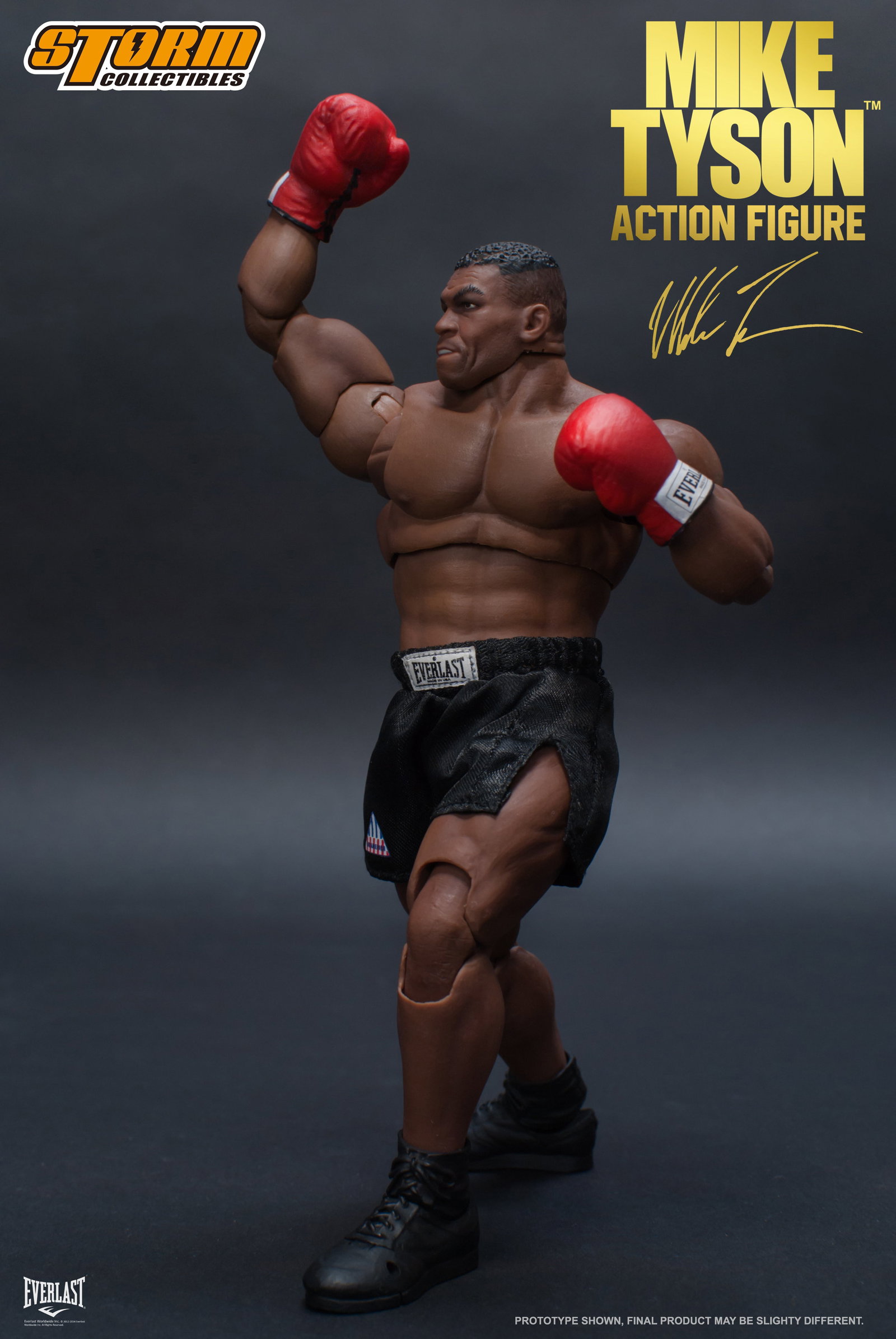 Mike Tyson image 4