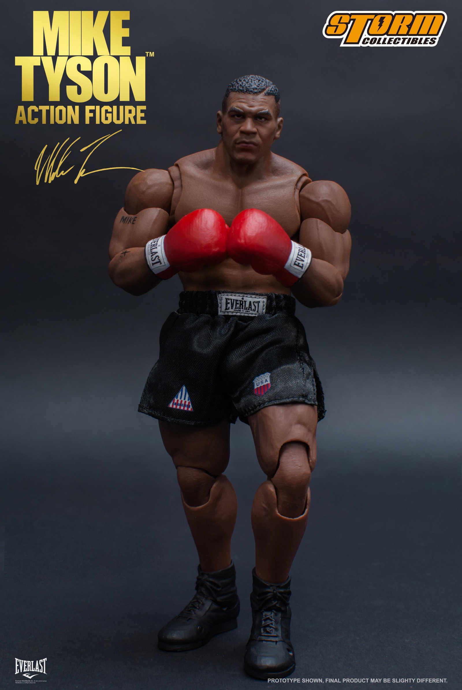 Mike Tyson image 5