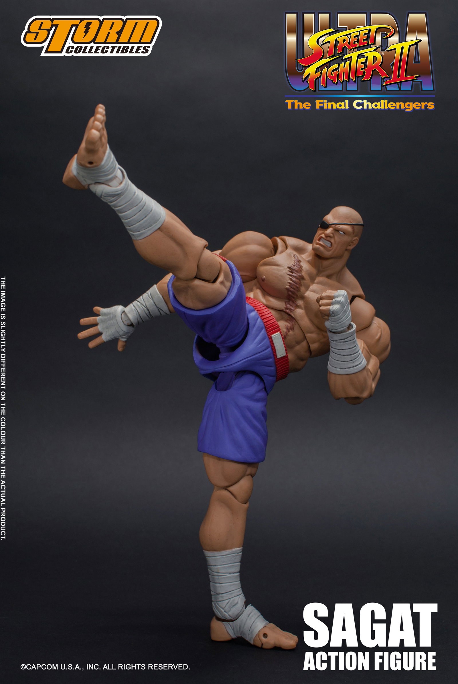 Sagat - Usfii image 10