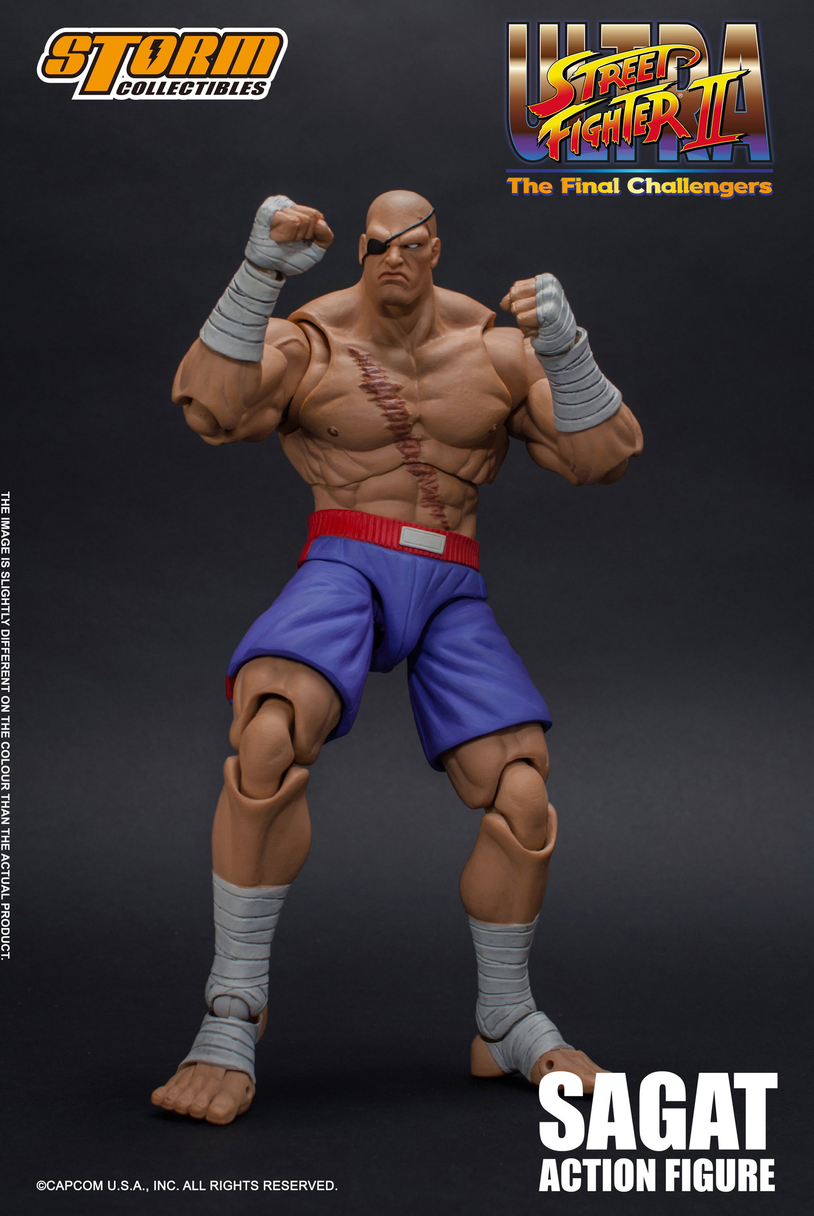 Sagat - Usfii image 3