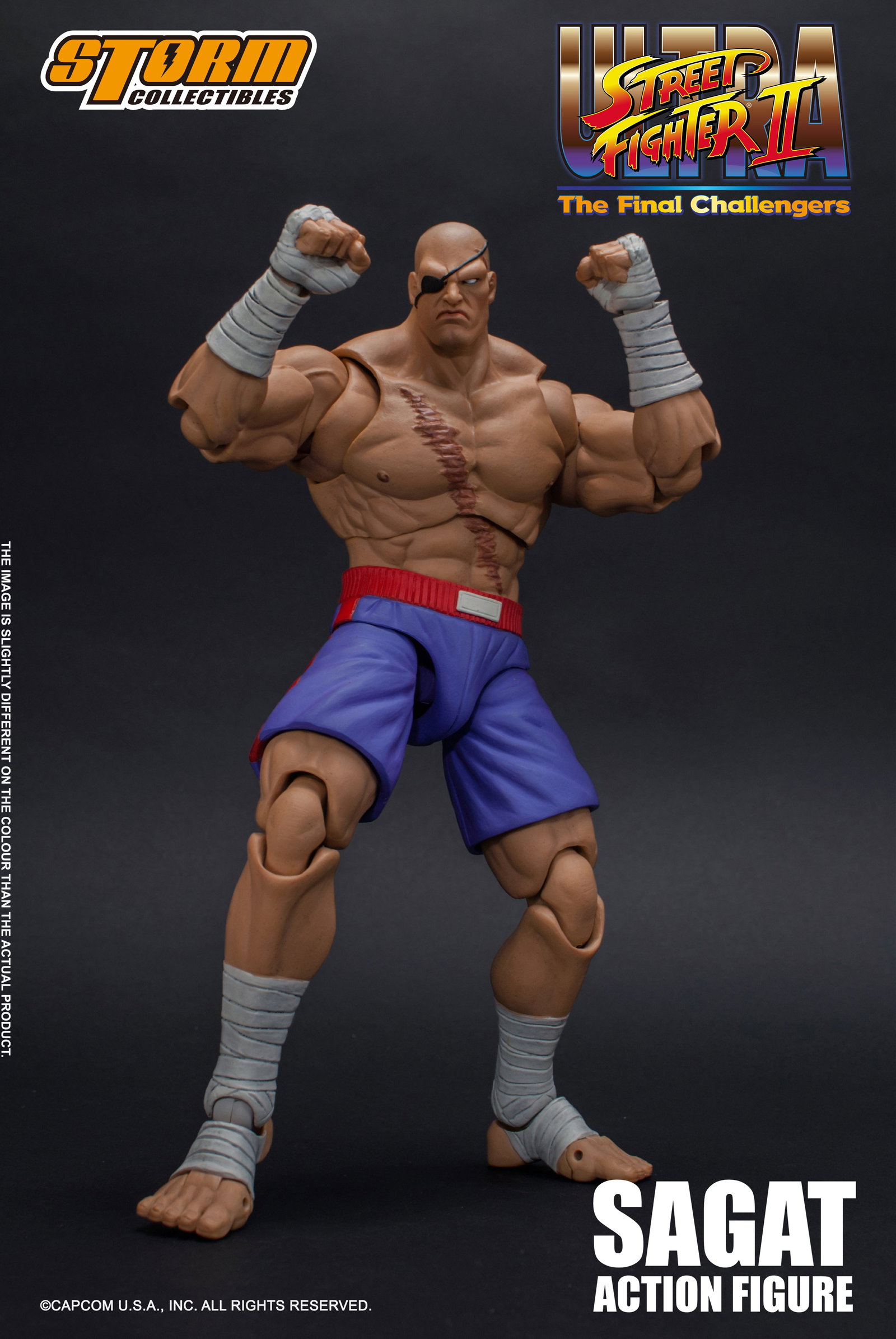 Sagat - Usfii image 5