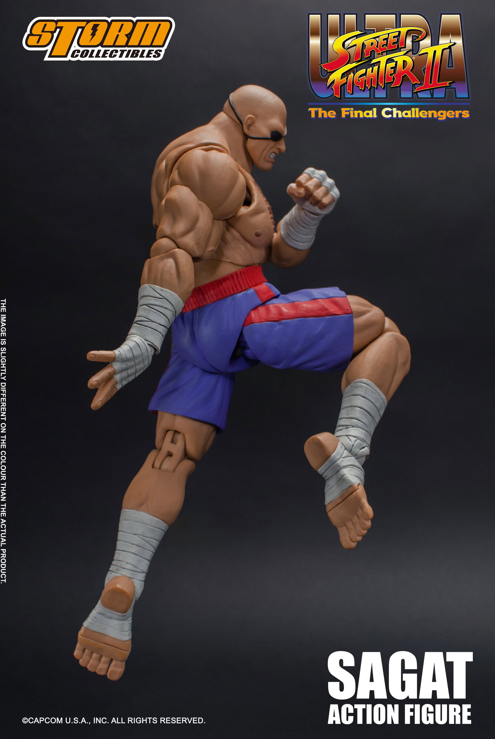 Sagat - Usfii image 6