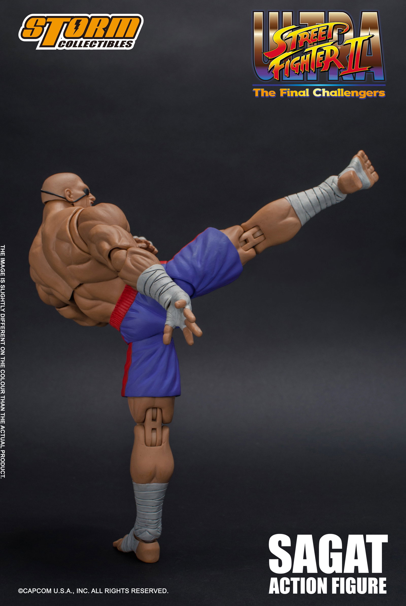 Sagat - Usfii image 7