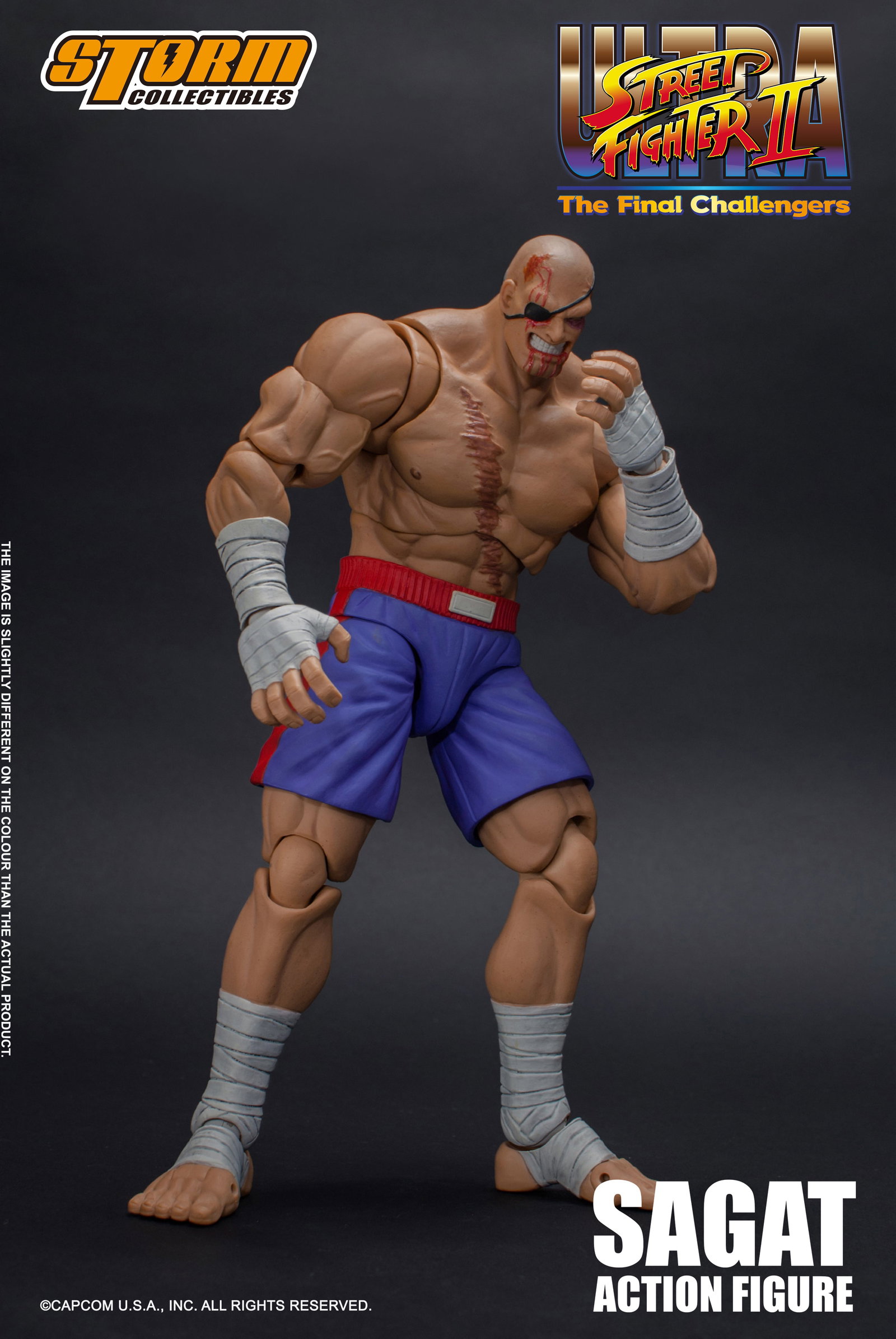 Sagat - Usfii image 8