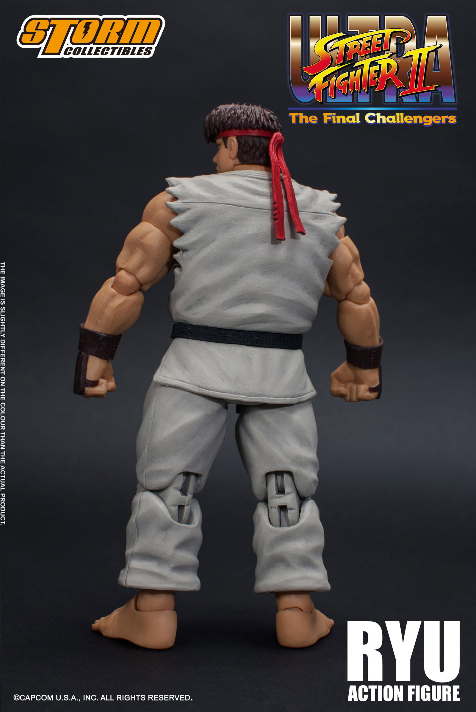 Ryu - Usfii image 10