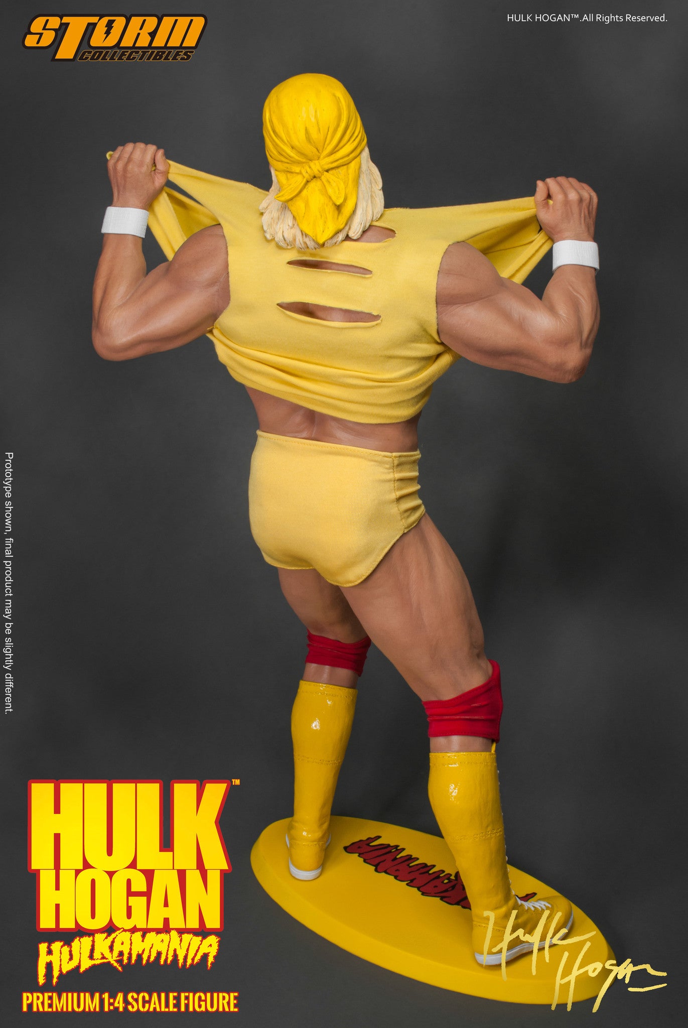 Hulk Hogan - Hulkamania "!" image 10