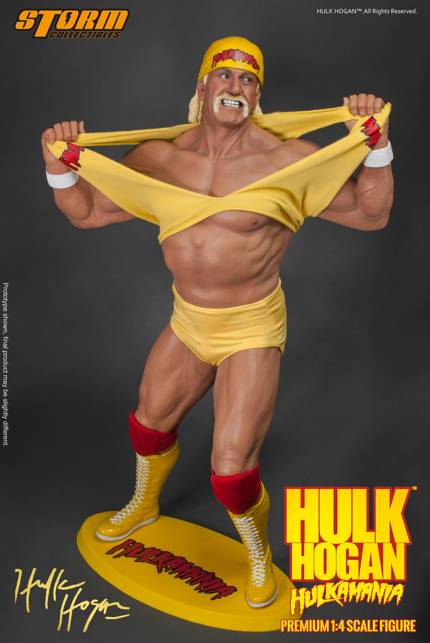 Hulk Hogan - Hulkamania "!" image 1