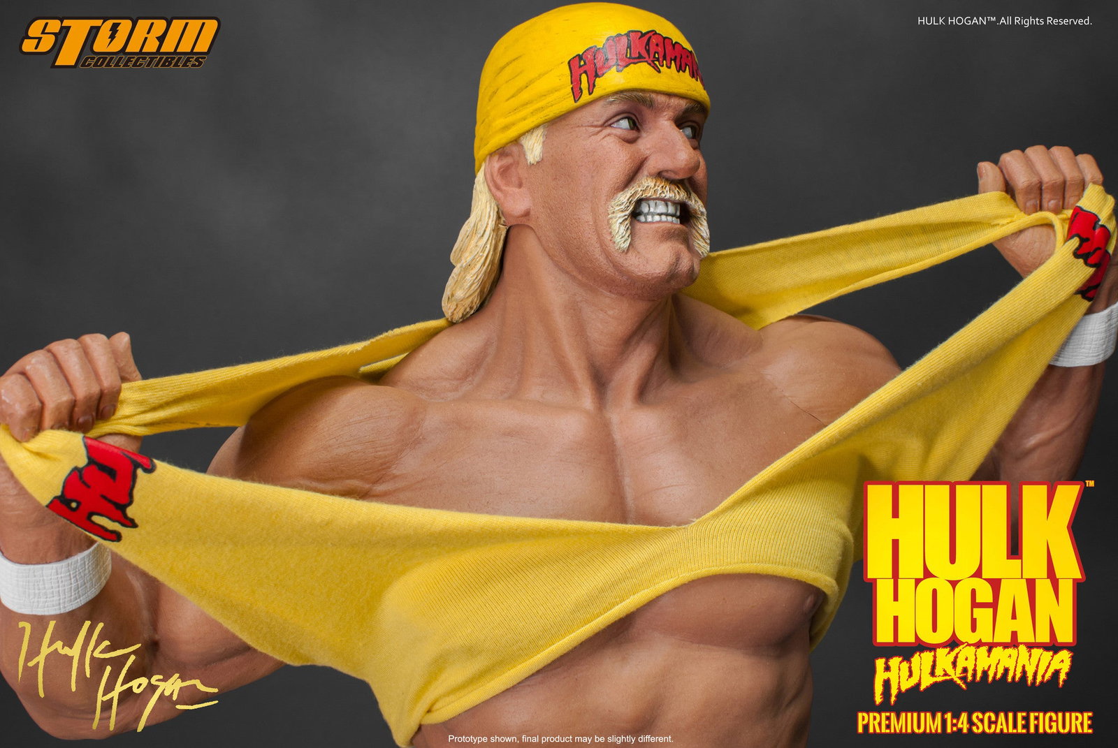 Hulk Hogan - Hulkamania "!" image 4