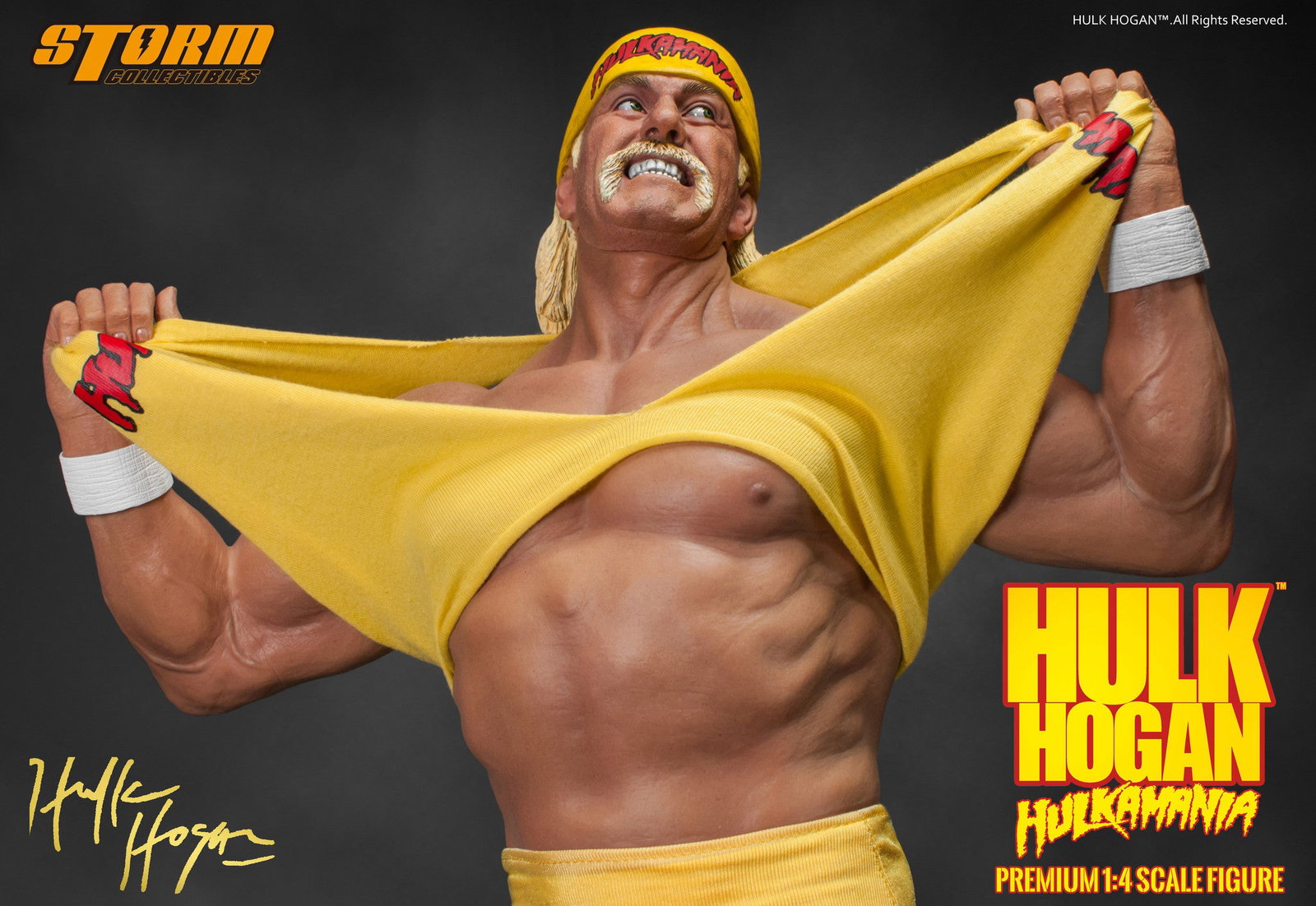 Hulk Hogan - Hulkamania "!" image 5