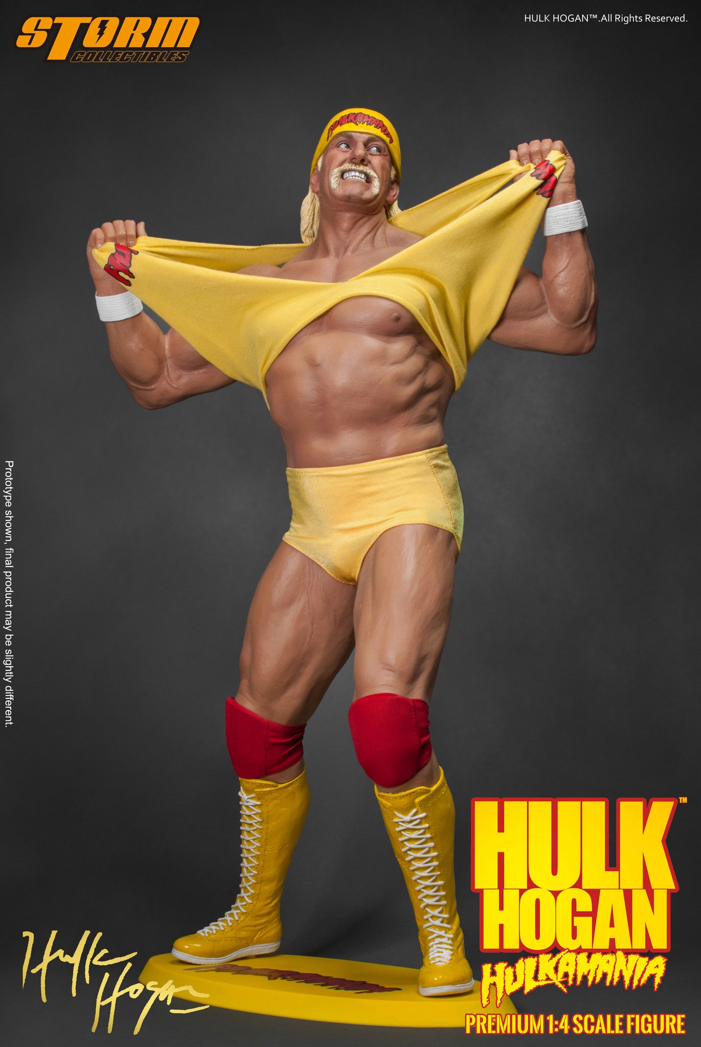 Hulk Hogan - Hulkamania "!" image 7