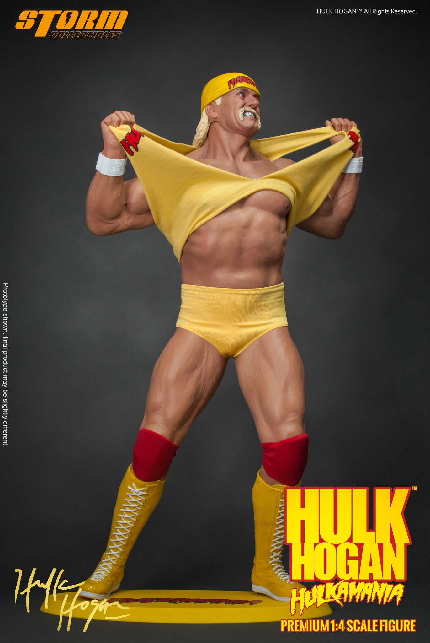 Hulk Hogan - Hulkamania "!" image 8
