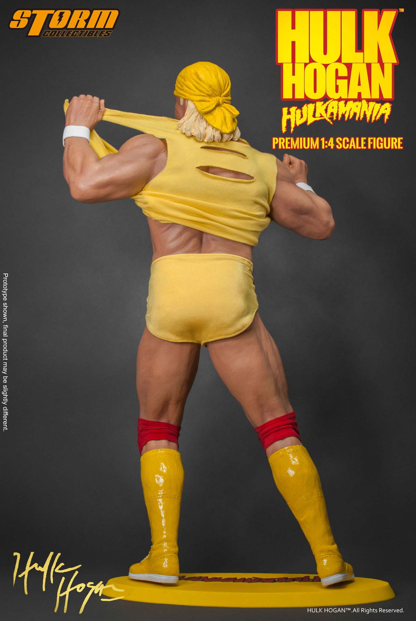 Hulk Hogan - Hulkamania "!" image 9