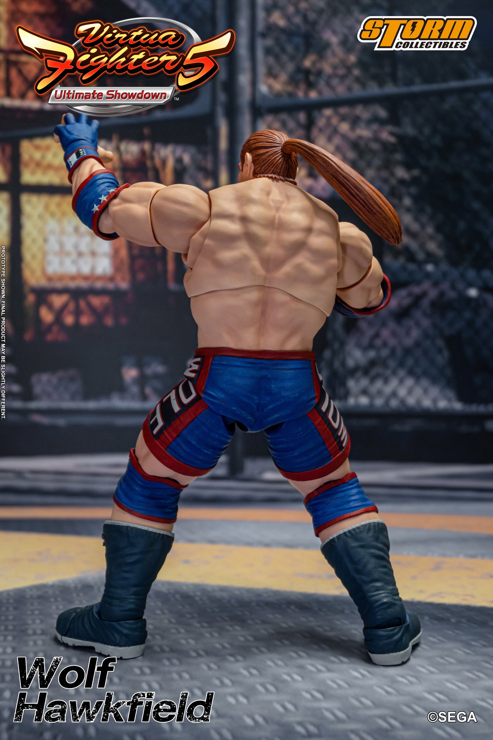 Wolf Hawkfield - Virtua Fighter 5 image 3