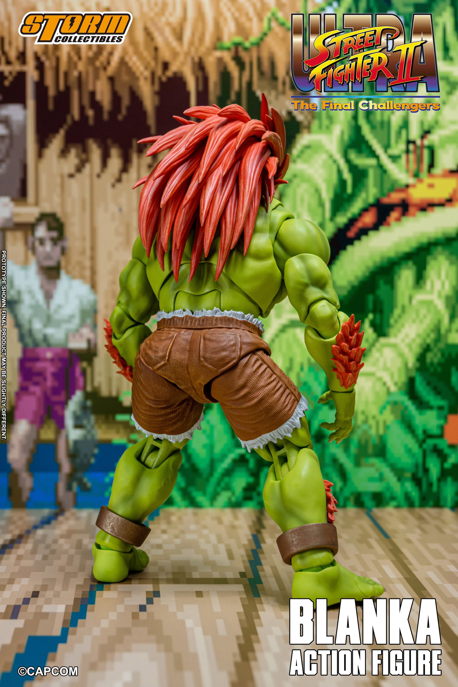 Blanka image 4
