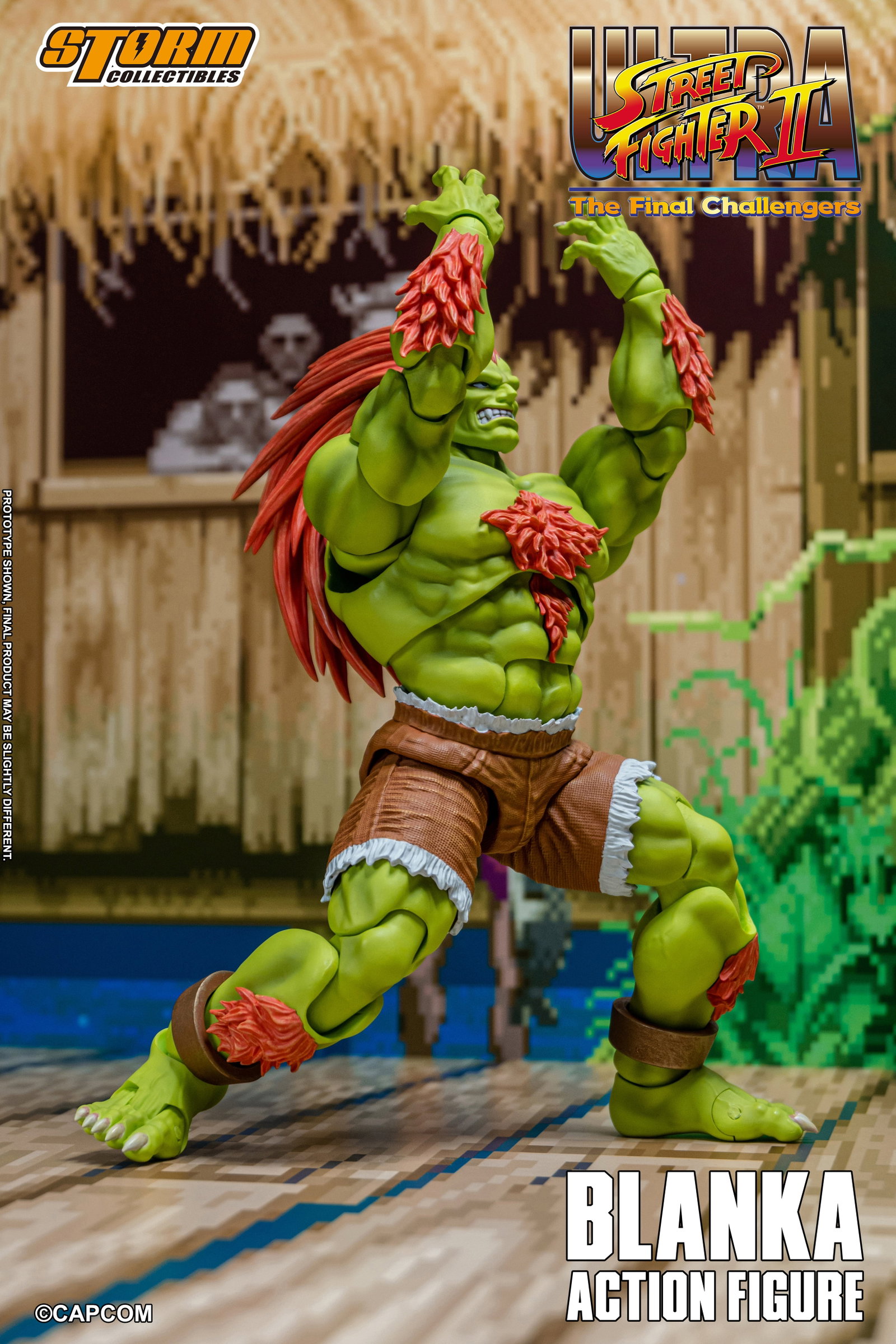 Blanka image 6