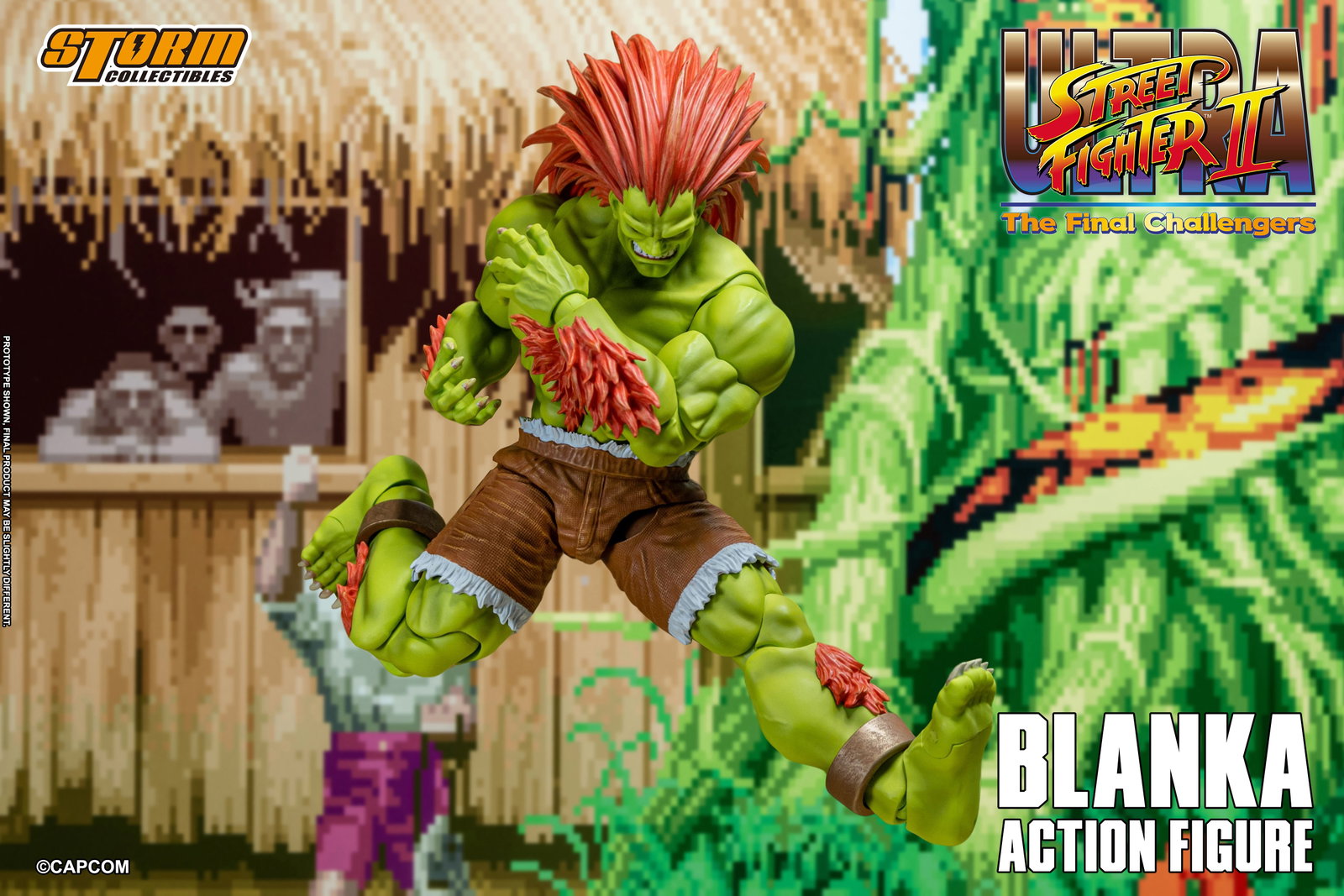 Blanka image 9