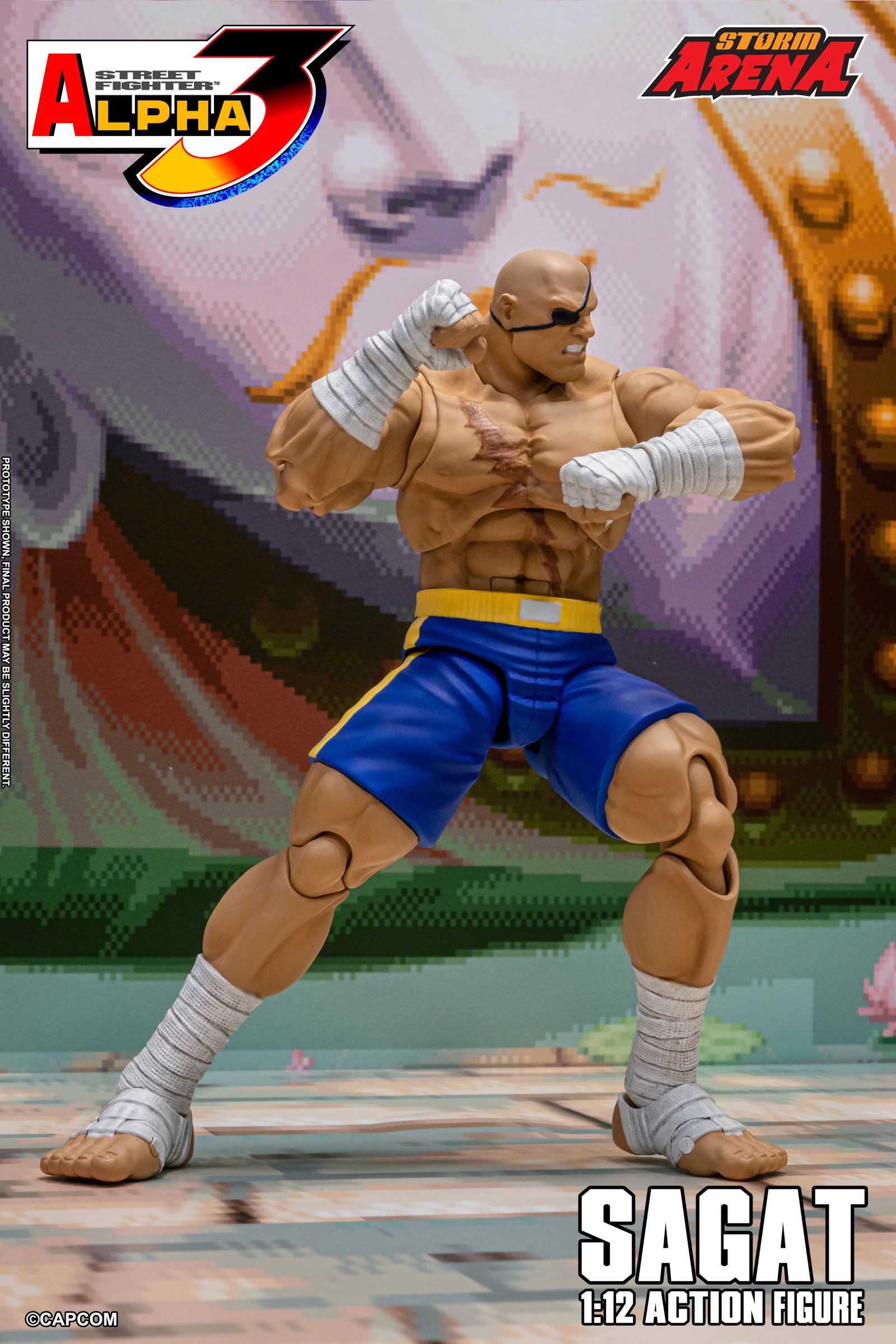 Sagat - Street Fighter Alpha 3 "Storm Arena" image 10
