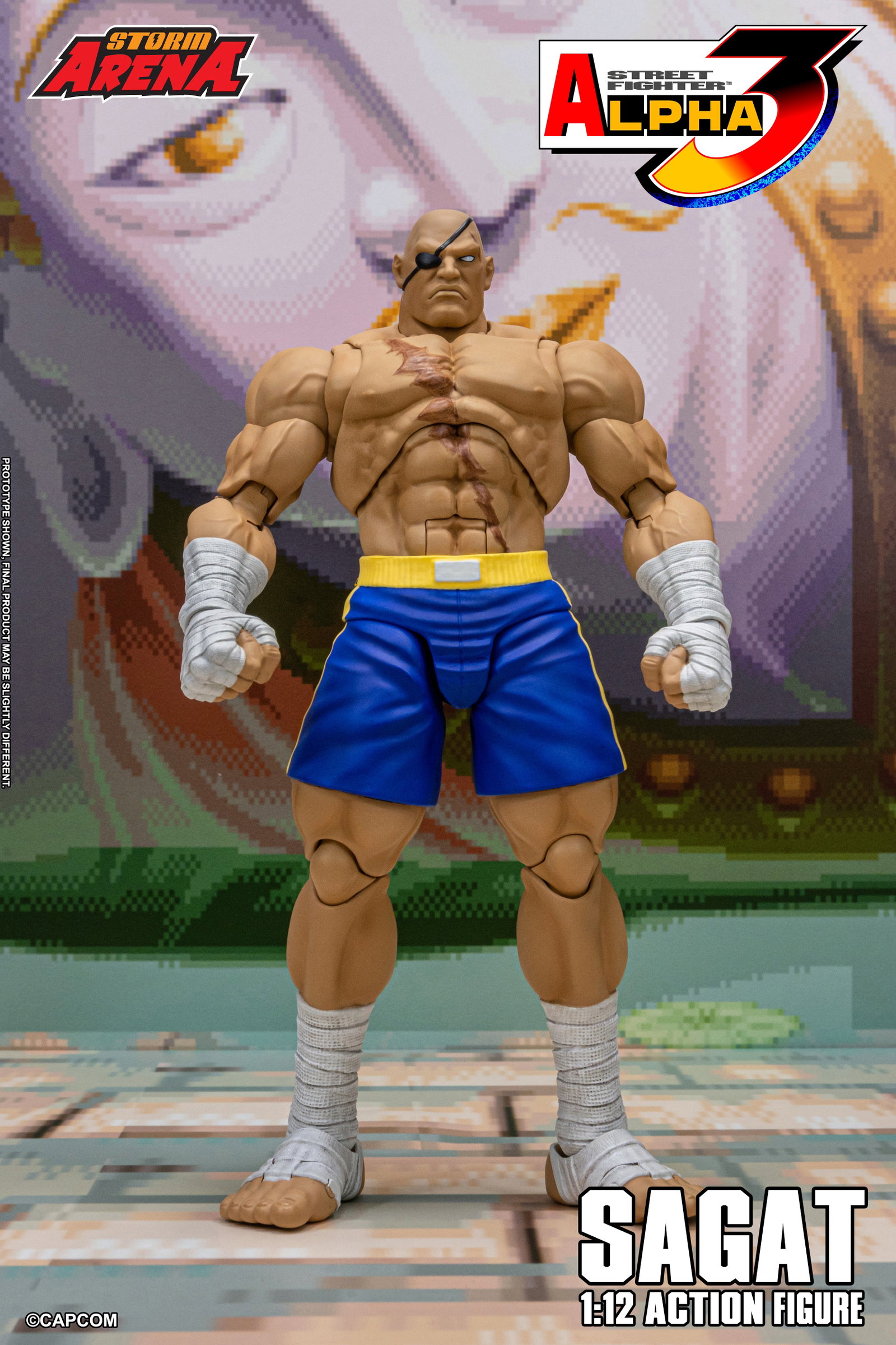 Sagat - Street Fighter Alpha 3 "Storm Arena" image 4