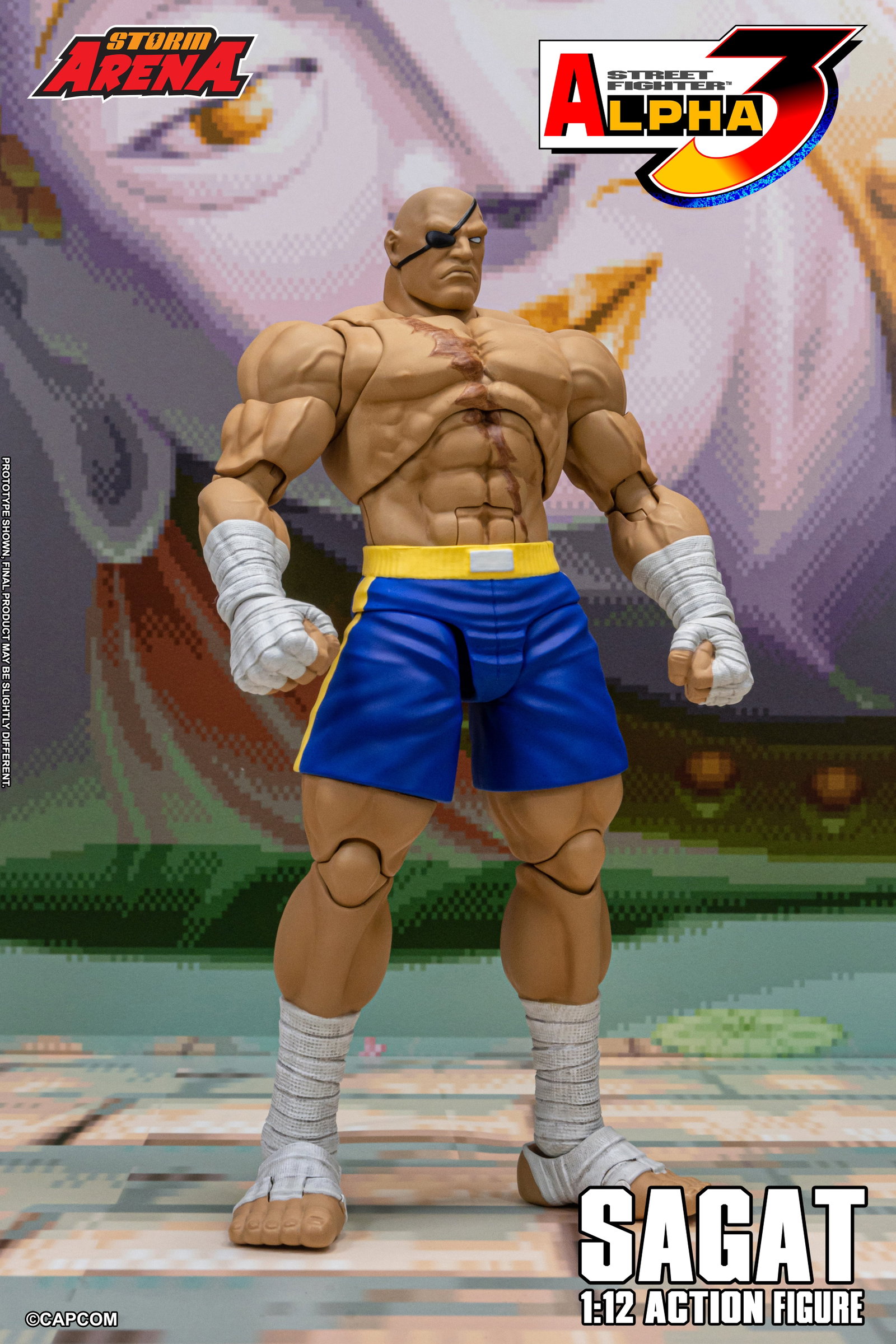 Sagat - Street Fighter Alpha 3 "Storm Arena" image 5