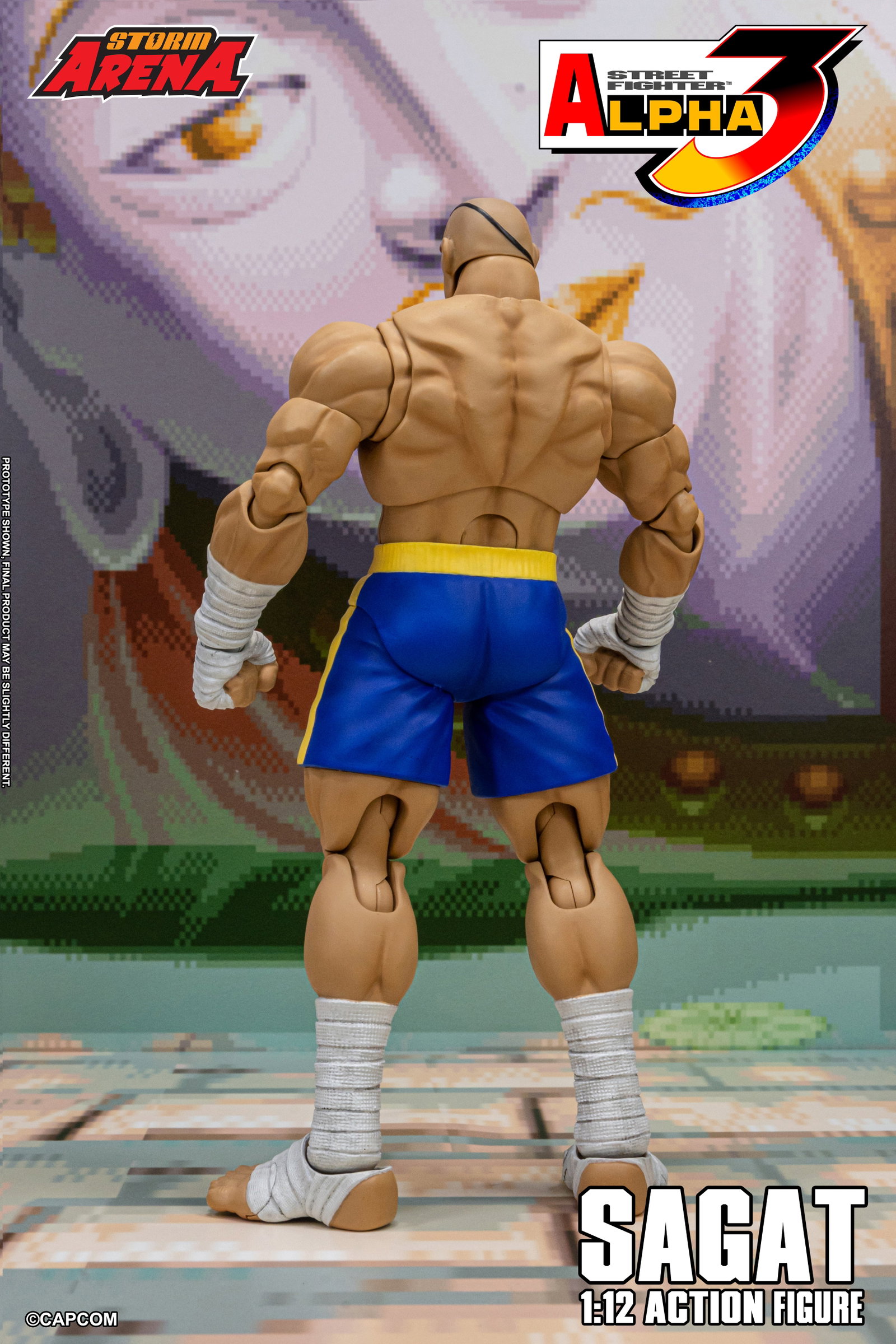 Sagat - Street Fighter Alpha 3 "Storm Arena" image 6