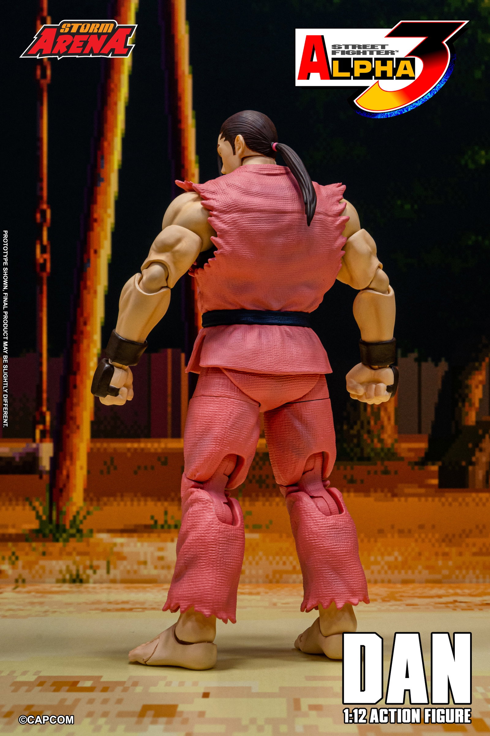 Dan - Street Fighter Alpha 3 "Storm Arena" image 5