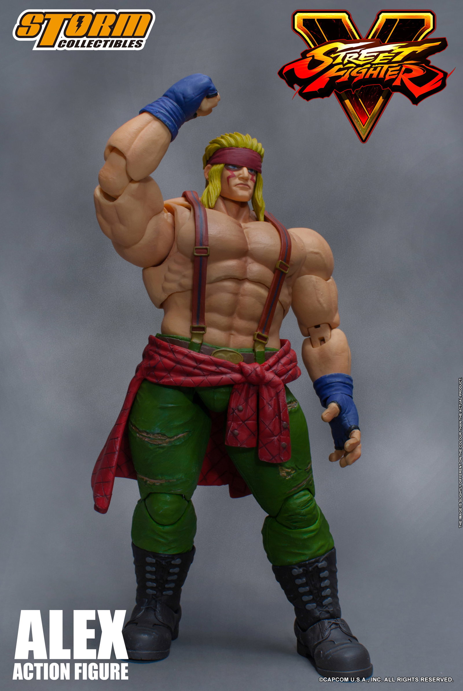 Alex - Street Fighter V image 9