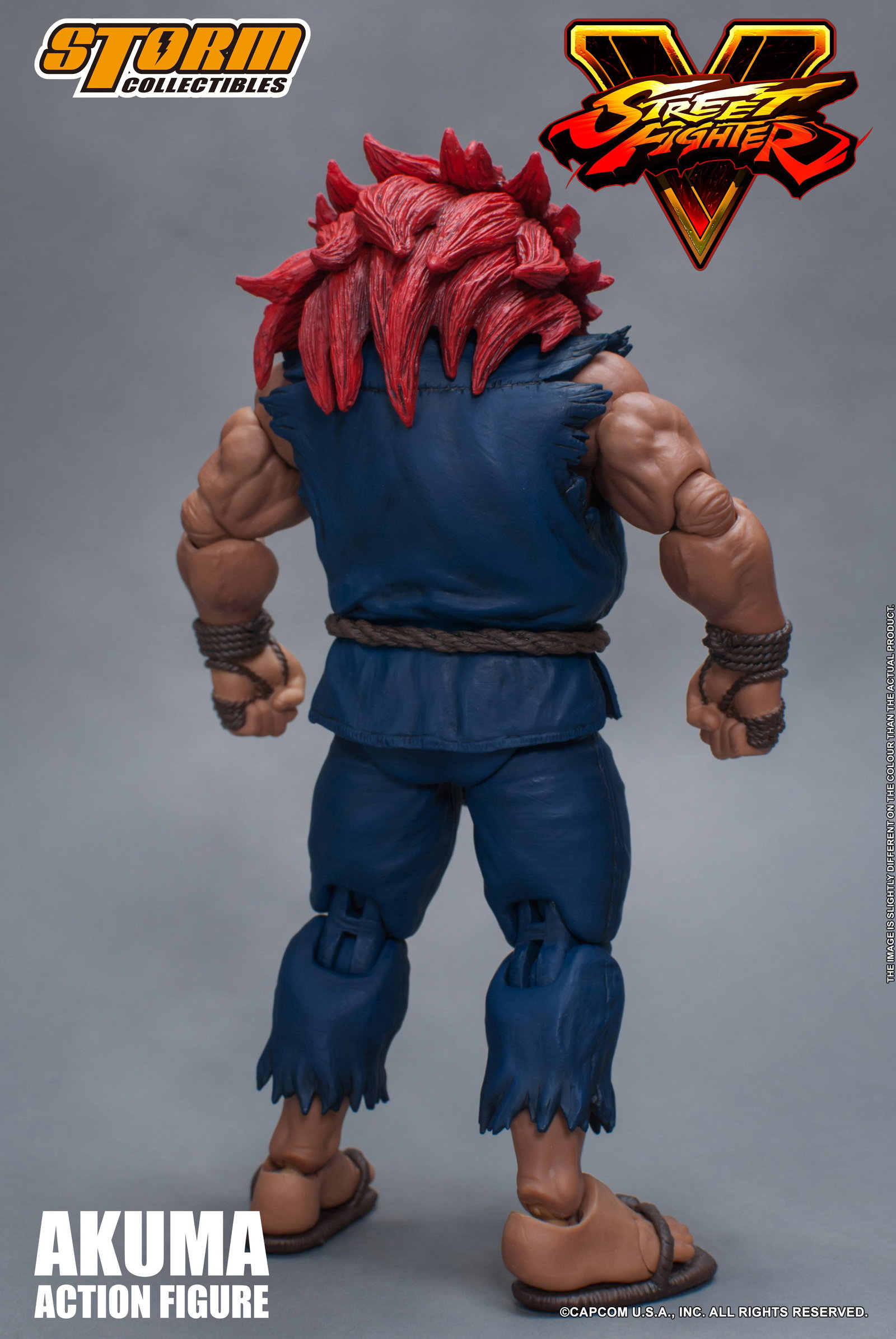 Akuma "Gouki" Street Fighter V image 10