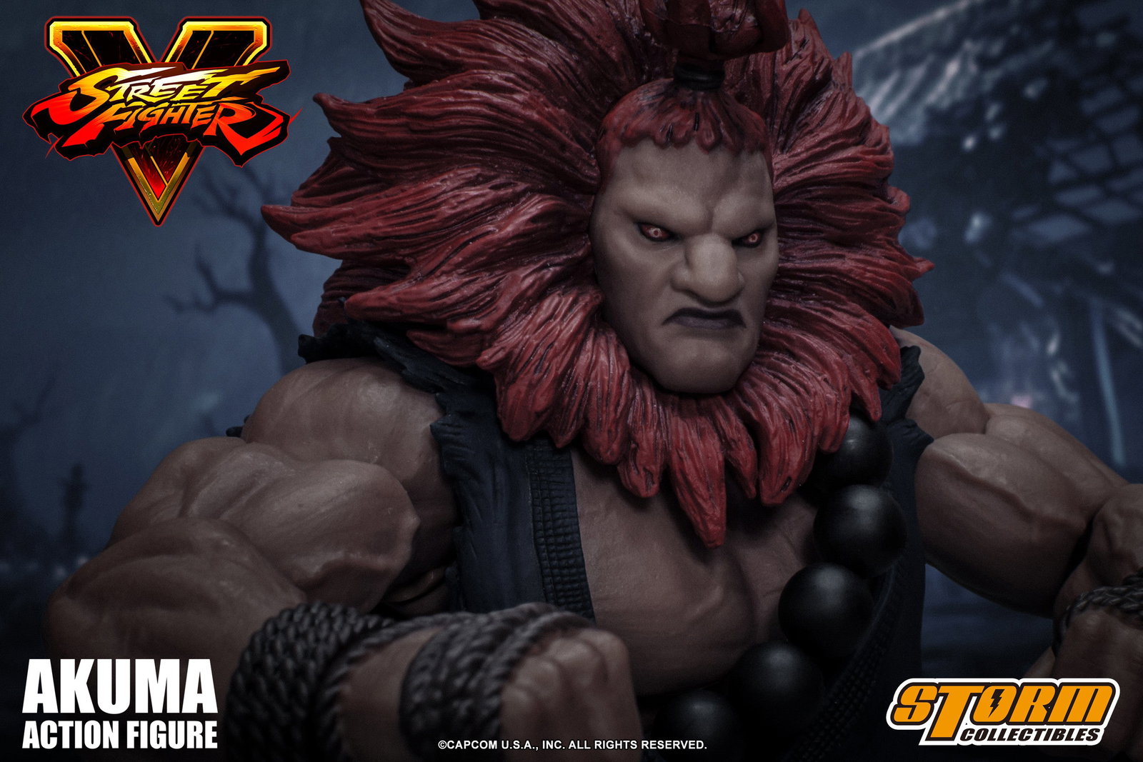 Akuma "Gouki" Street Fighter V image 1