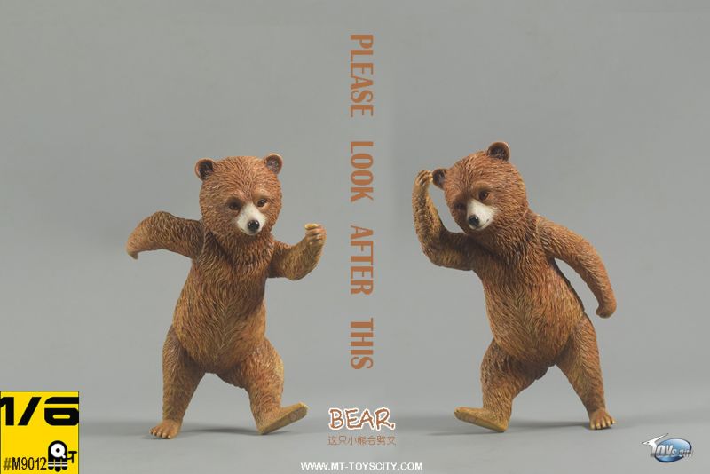 Peruvian Bear image 7