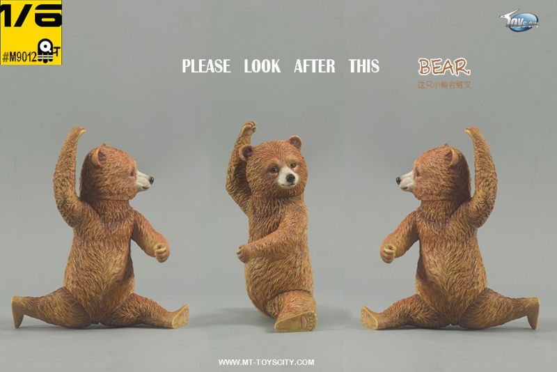 Peruvian Bear image 9