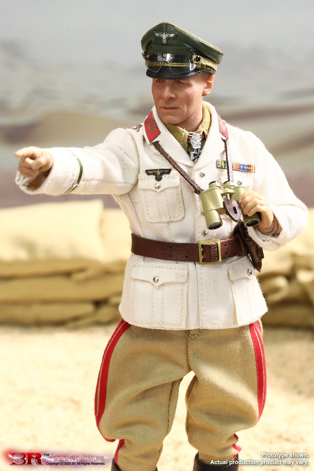 Erwin Rommel, The Desert Fox image 7