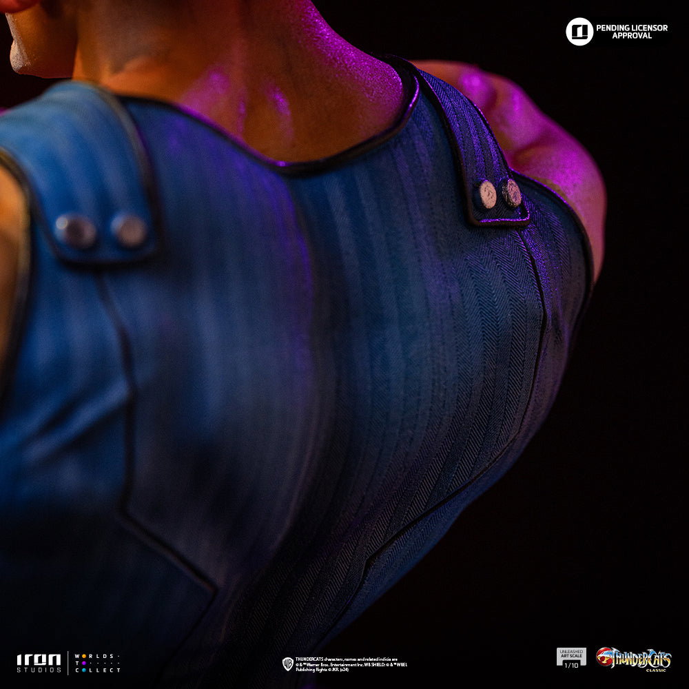 Lion-O - ThunderCats - Unleashed image 10