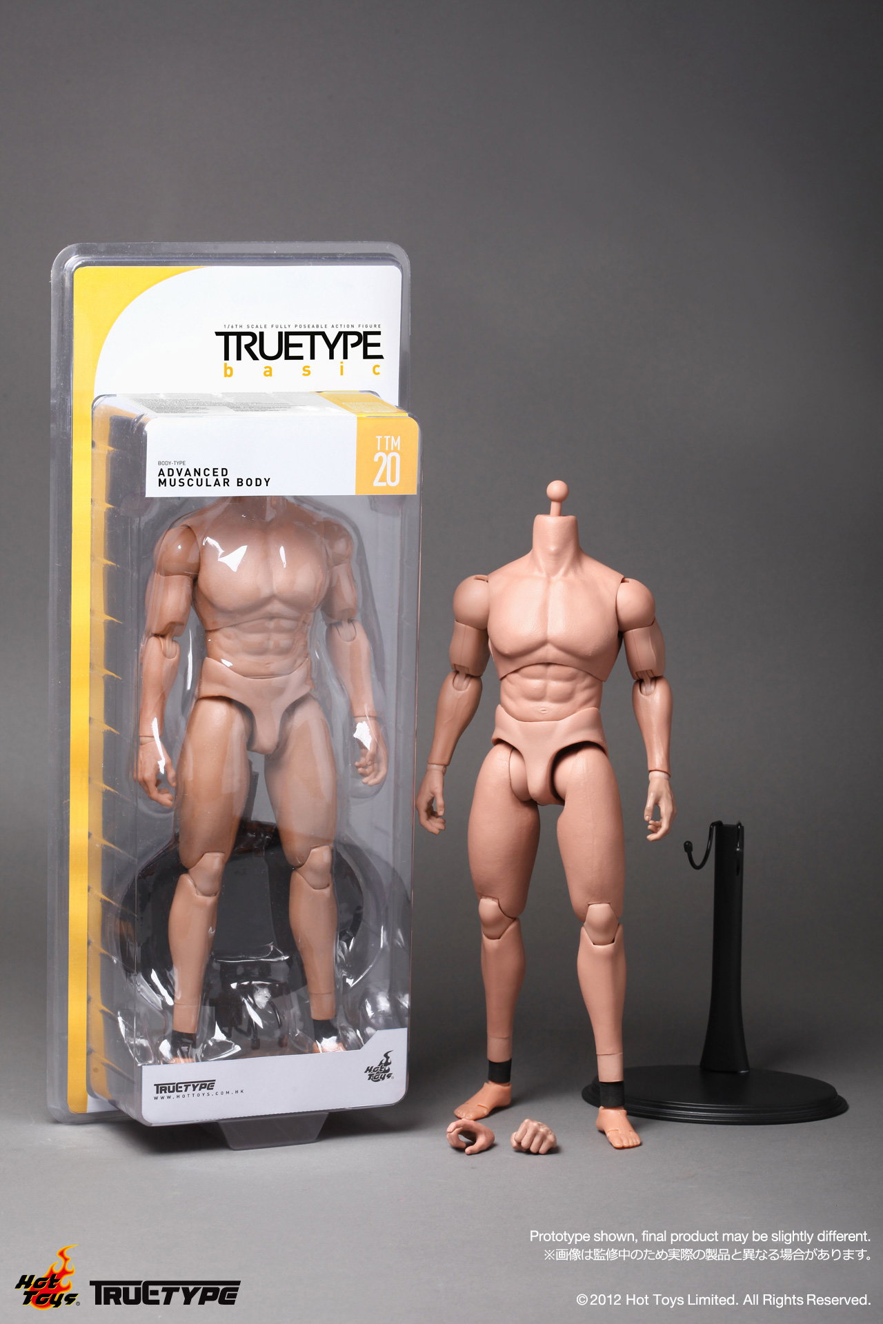 Basic - Caucasian Male (Advanced Muscular Body Version) image 1
