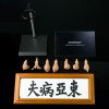 Bruce Lee (Fist Of Fury) image 5