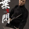 Ip Man (Ip Man 3) image 3